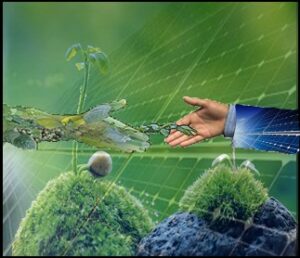 Congratulations to Luca, Elisa and Sara for their new contribution published on Advanced Energy Materials!