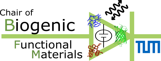 Check out our brand new BFM-Twitter Account!