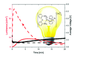 Congratulations to Elisa for the new paper!