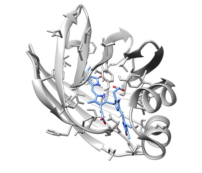 European Climate Pact – Event „Protein-based materials: A sustainable solution for our technological world?”