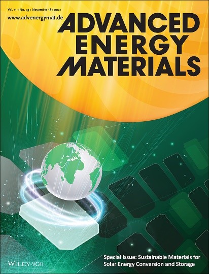Special Issue in Advanced Energy Materials about Recent Advances Towards Sustainable Materials and Processes for Energy Conversion and Storage