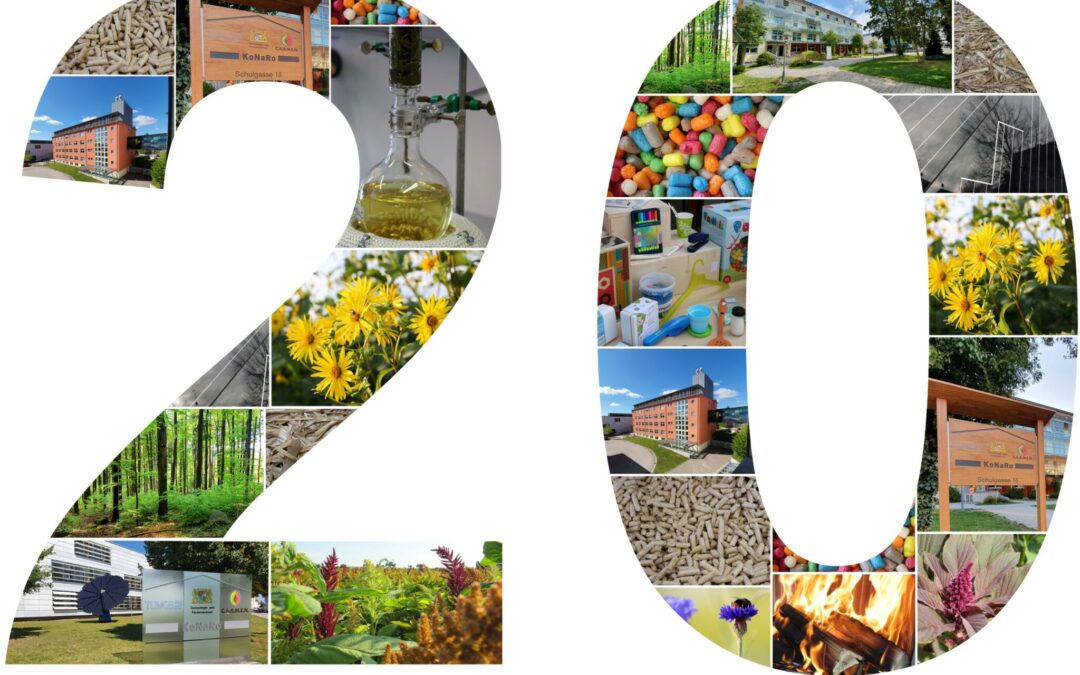 Presentation of Prof. Costa at the short lecture evening: „KoNaRo: Straubing researches for sustainability. For 20 years“