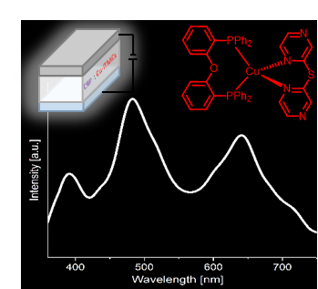 Congratulations to Elisa and Luca for the new paper!