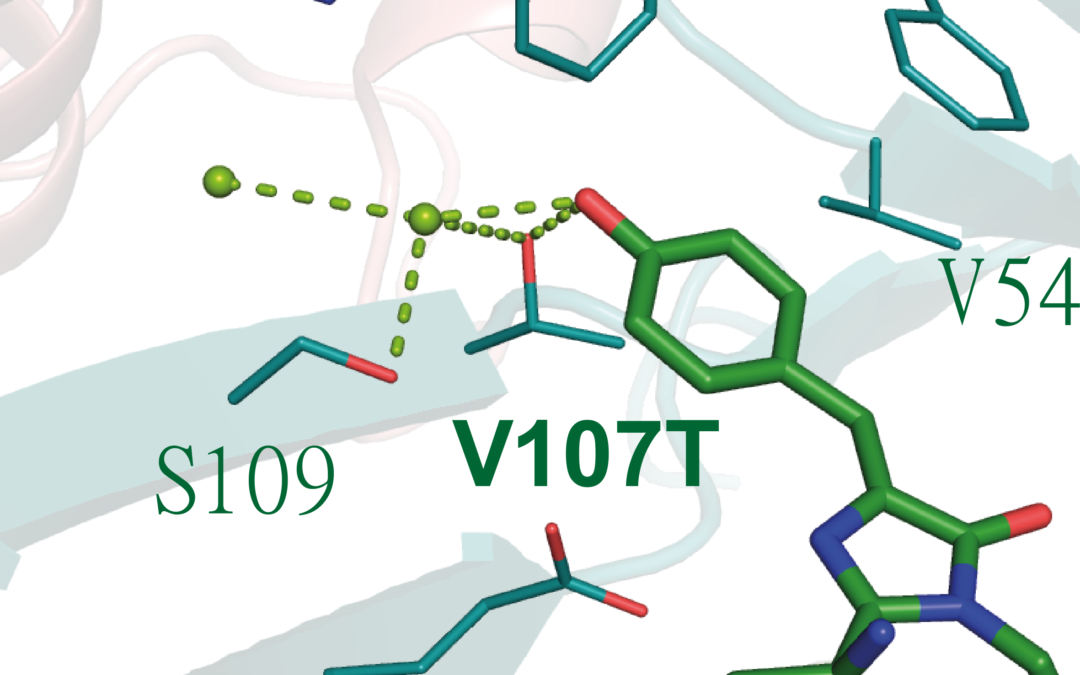 Congrats to JP for his new publication in Nature Biotech!!
