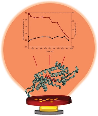 Check out our last paper on Advanced Functional Material!