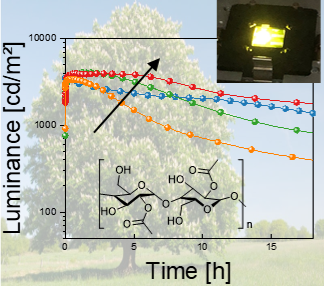 Congratulations to Luca for the new contribution published on Advanced Functional Materials!