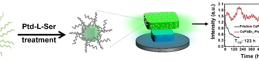 Congratulation to Yanyan for new paper in Adv. Opt. Mater!!