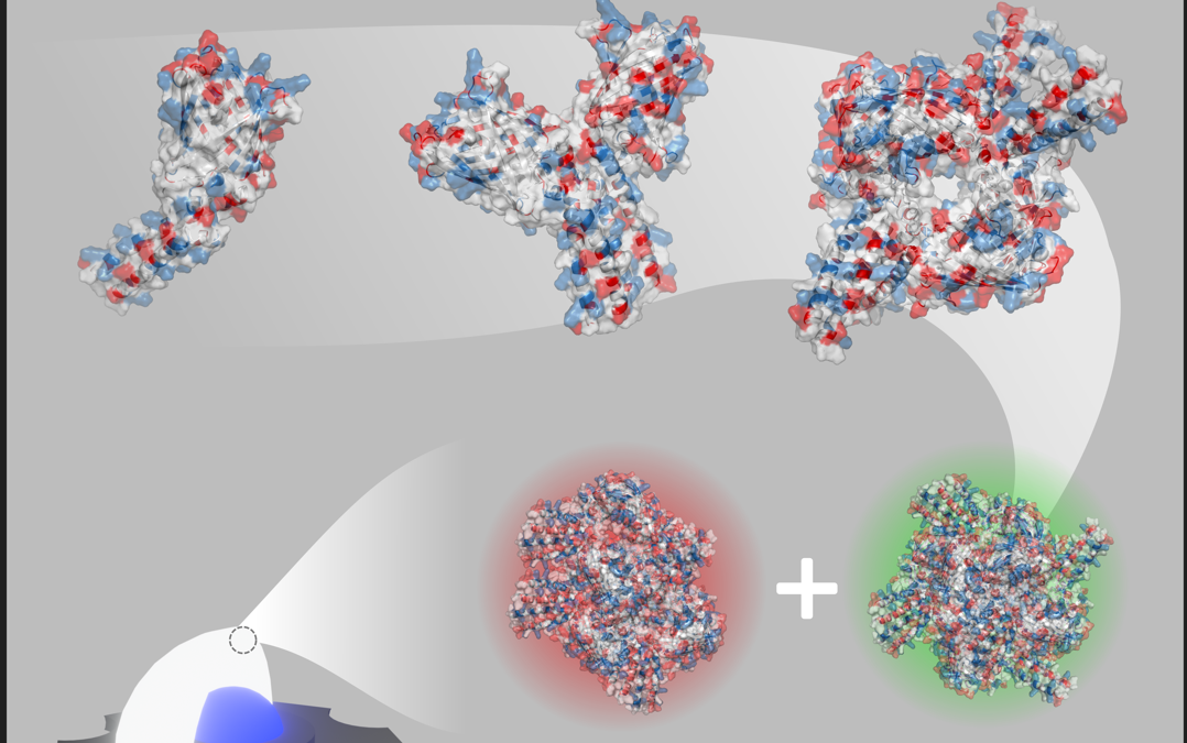 New paper out on Advanced Materials!