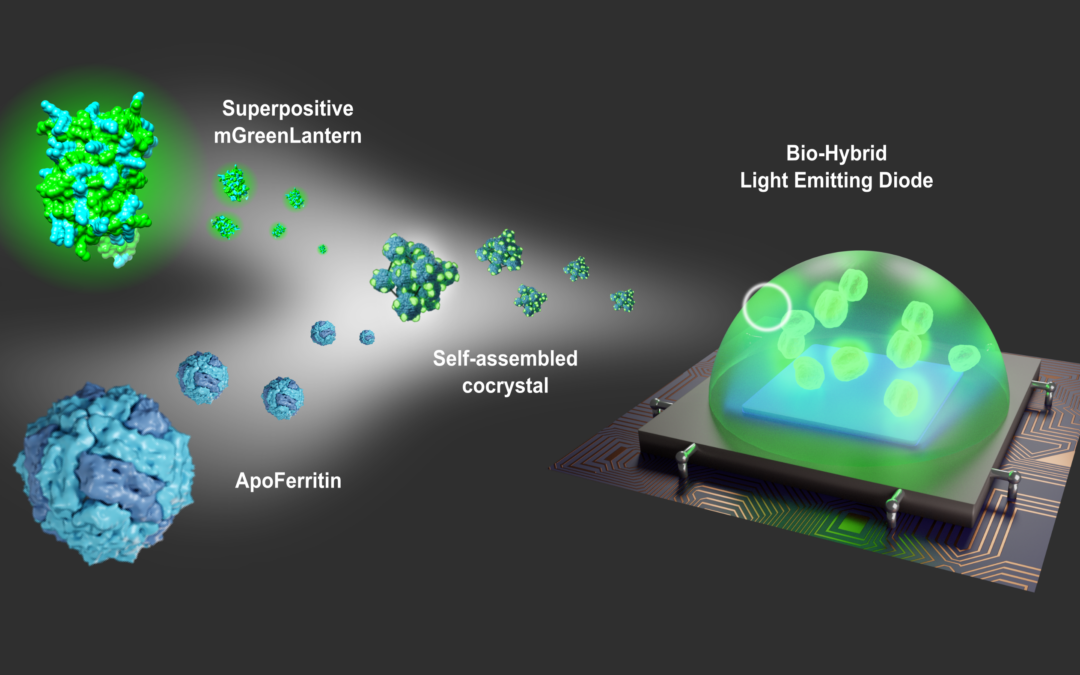 New paper out on ACS Nano!