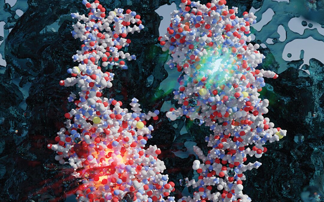 Advanced Materials Cover and Editor Choice!