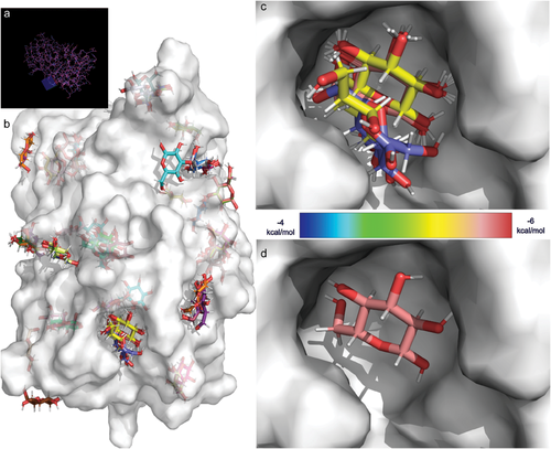First paper of 2024 is out in Small Methods!!