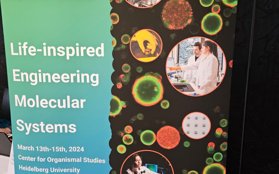 Keynote Lecture in LEMS Conference at Heidelberg!