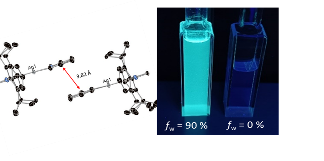 Ginevra paper is out !!