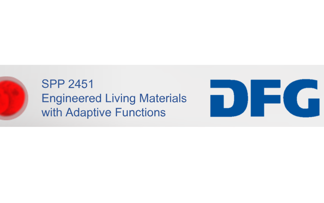 Start New DFG-Project within SPP2451!