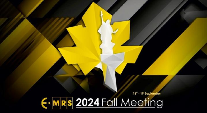 International Workshop on Biogenic and Bio-Derived Materials for Sustainable Energy Systems at E-MRS Fall Meeting 2024